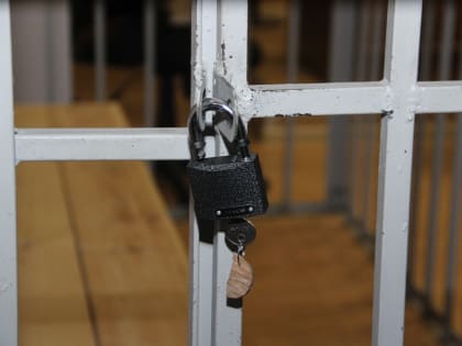 В Шексне осудили поджигателя из Череповца