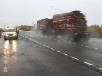 Неподалёку от Вологодчины зарегистрирована вспышка опасного заболевания