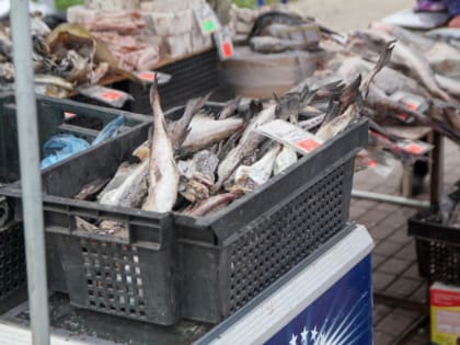 В Череповец на ярмарку привезут козий сыр, рыбу и одежду из льна