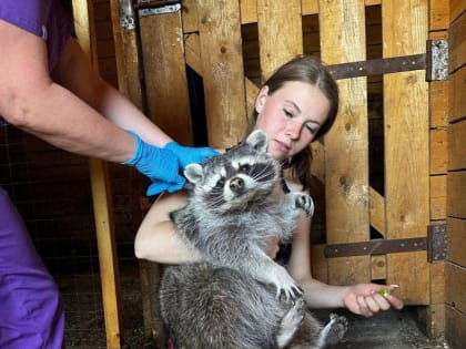 В Вологодской области план по вакцинации против бешенства выполнен на 90%