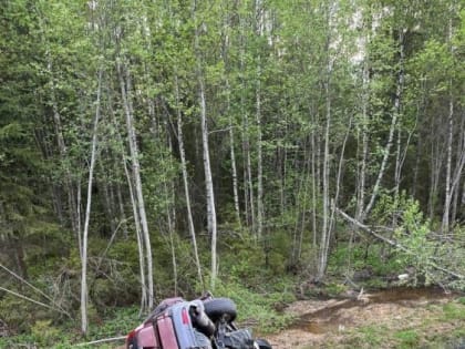 В Вологодской области в результате лобового столкновения сгорела «Тойота»