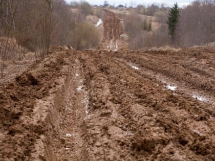 Депутат-коммунист Михаил Селин усомнился в жизнеспособности программы «Вологодский гектар»