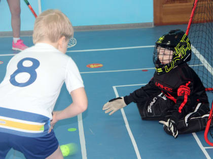 В Череповце разыграют Кубок Деда Мороза по флорболу