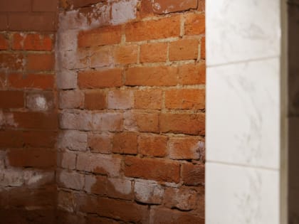 Новые инициативы по улучшению общественного транспорта в Москве