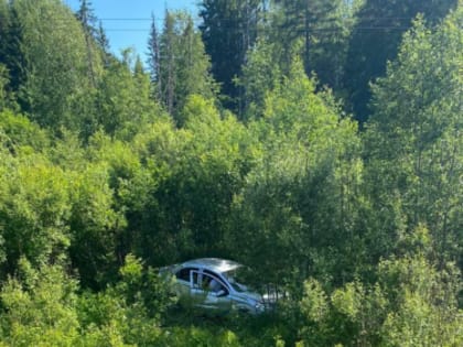 28-летняя женщина за рулём легковушки врезалась в микроавтобус и улетела в кювет с двумя 3-летними пассажирами