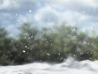 Глобальное потепление окажет влияние на предстоящую зиму в России