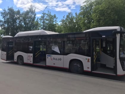 В Череповце после падения в автобусе госпитализировали пятилетнюю девочку