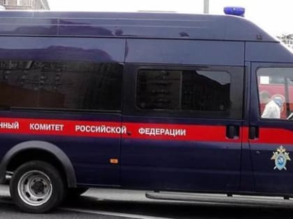 В Вологодской области возбуждено дело о вымогательстве 250 тысяч рублей у несовершеннолетнего