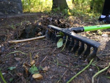 Обелиск в центре внимания: история и значение