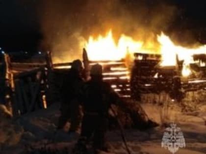 В Вологде подожгли хозпостройку