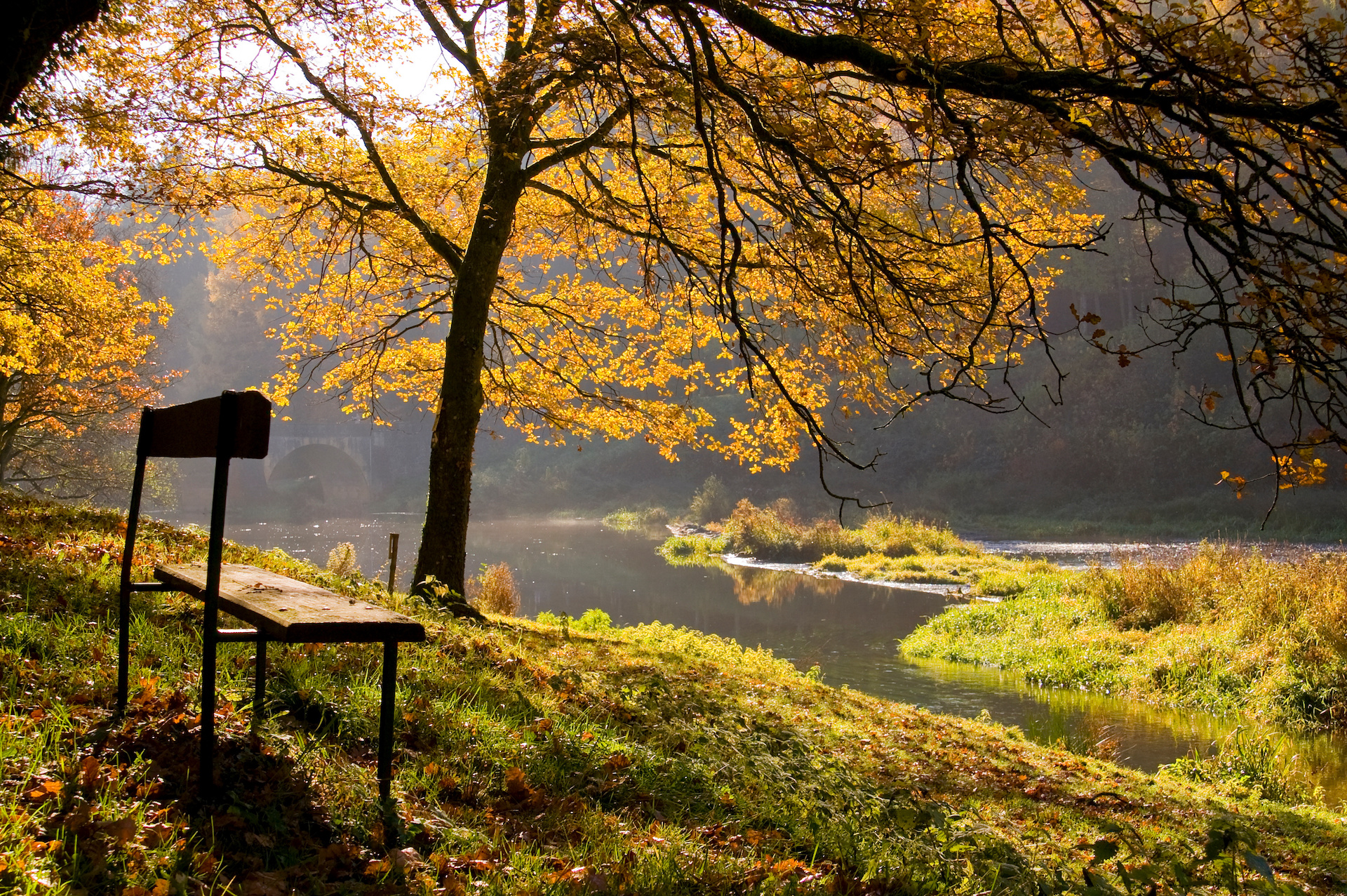 Waldstück mit Bank an einem Wasserlauf zur Herbstzeit in Belgien