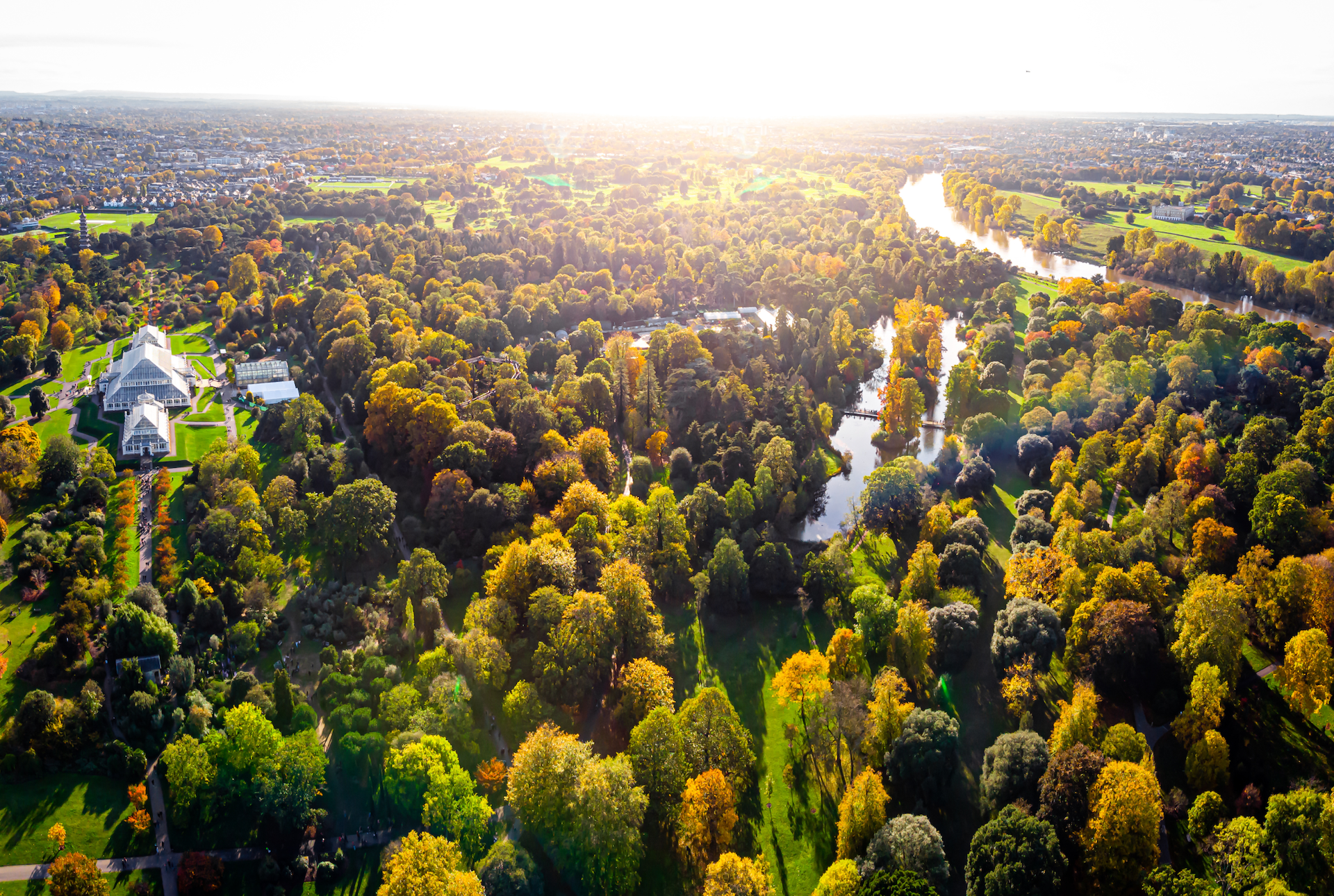 Blick von oben auf botanischen Garten in London