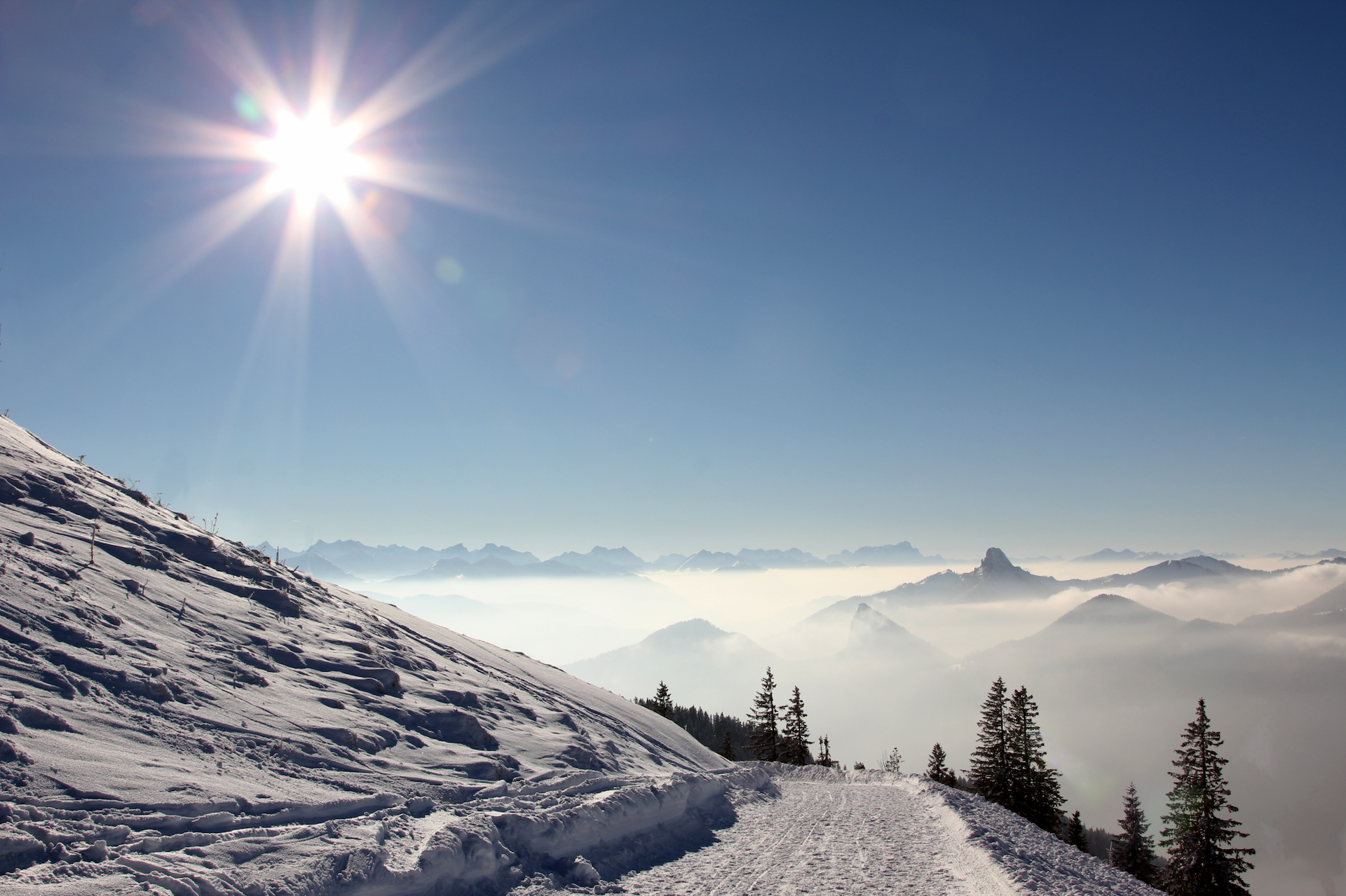 Rodelbahn in sonniger Winterlandschaft