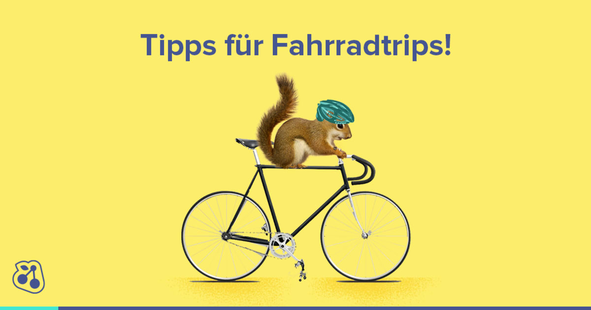 5 traumhafte Fahrradtouren in Stadtnähe 👌🚲