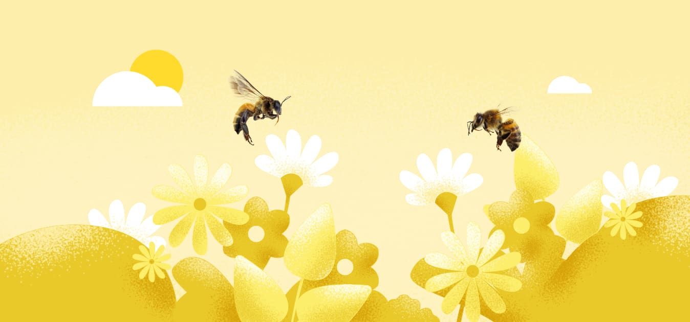 Weltbienentag: 5 Tipps, um die Bienen (und damit auch die Welt) zu retten 🐝