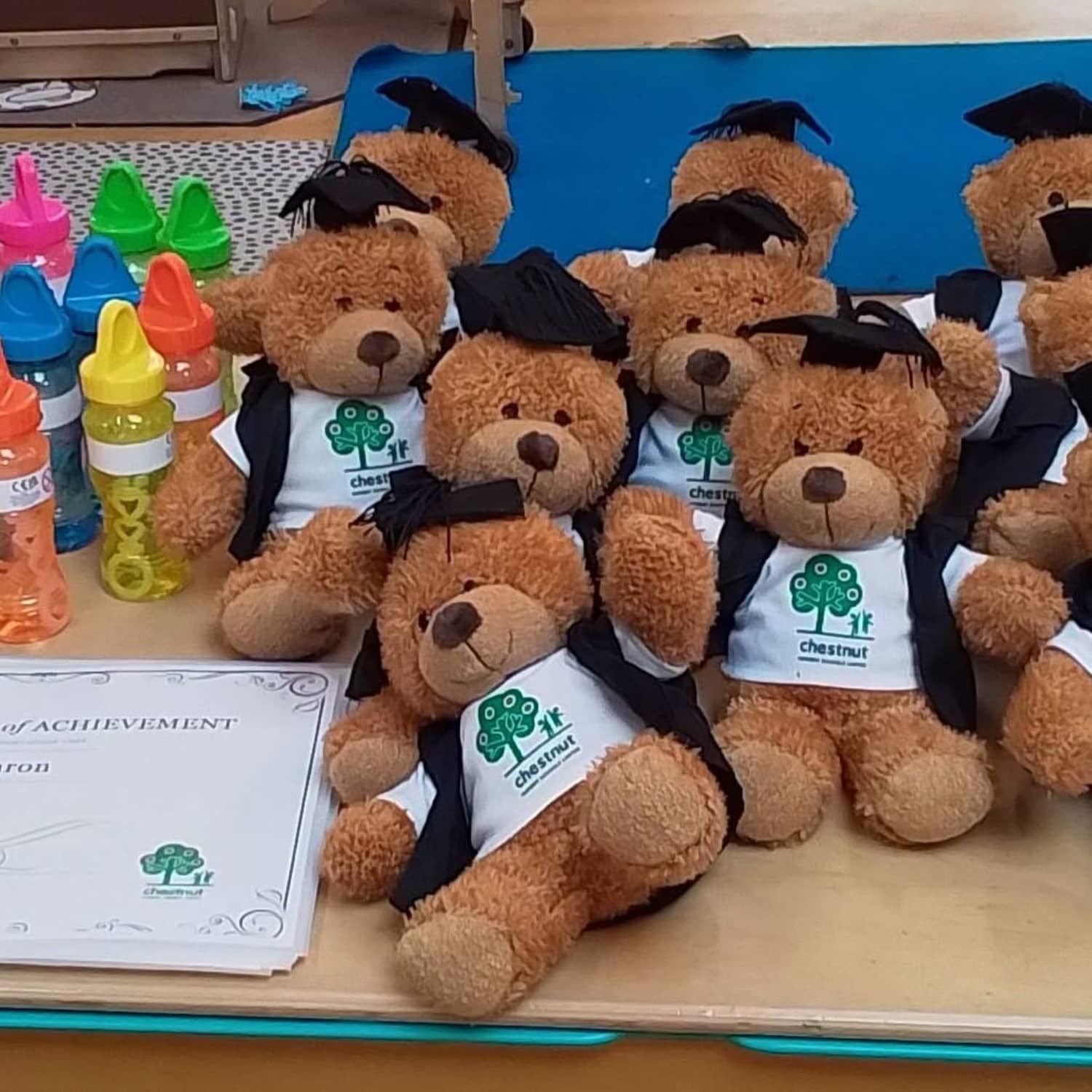 Chestnut Nursery Schools Introductory News Image - h99urjg09sauzgytrywq