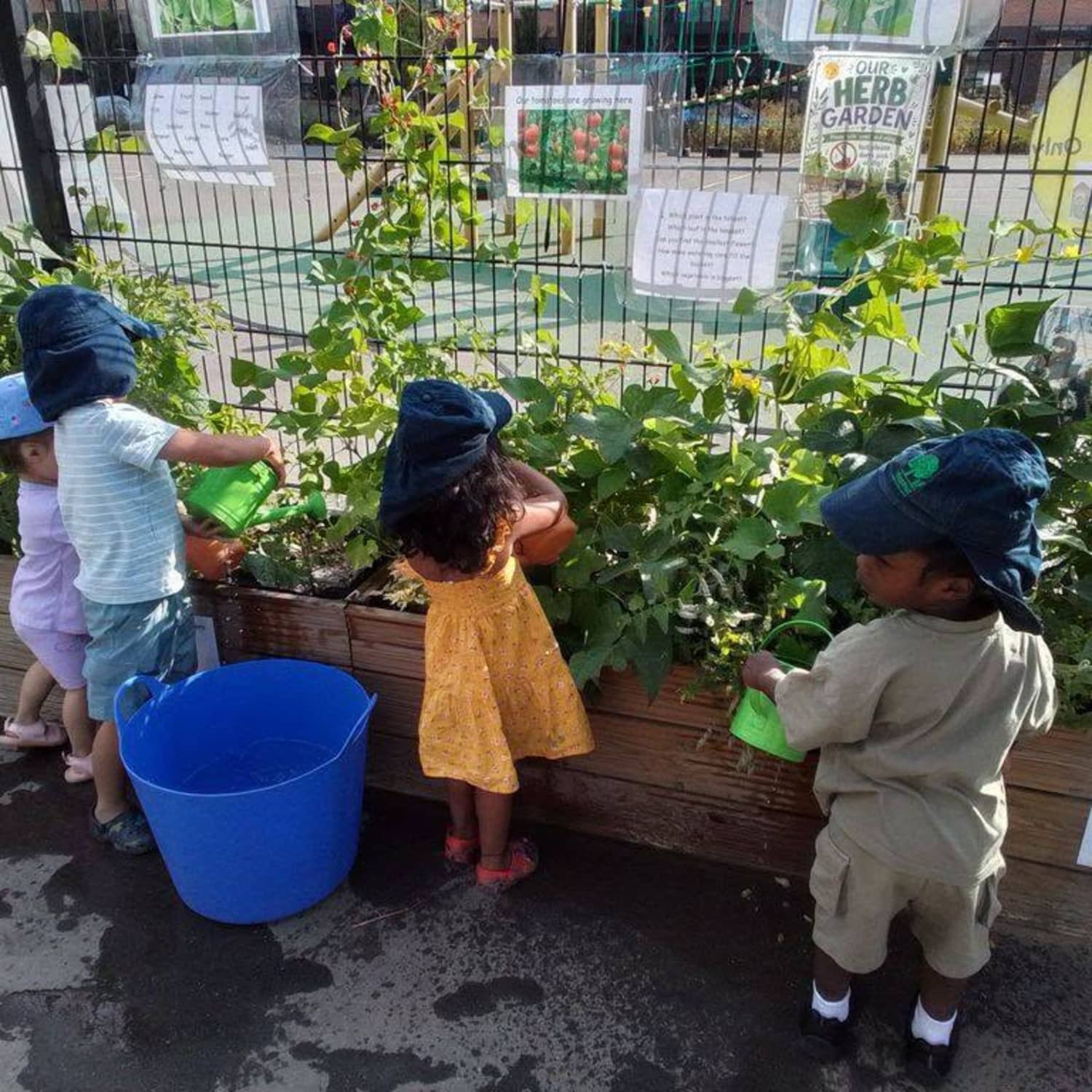 Chestnut Nursery Schools Introductory News Image - pqhenrgdozstadpua59w