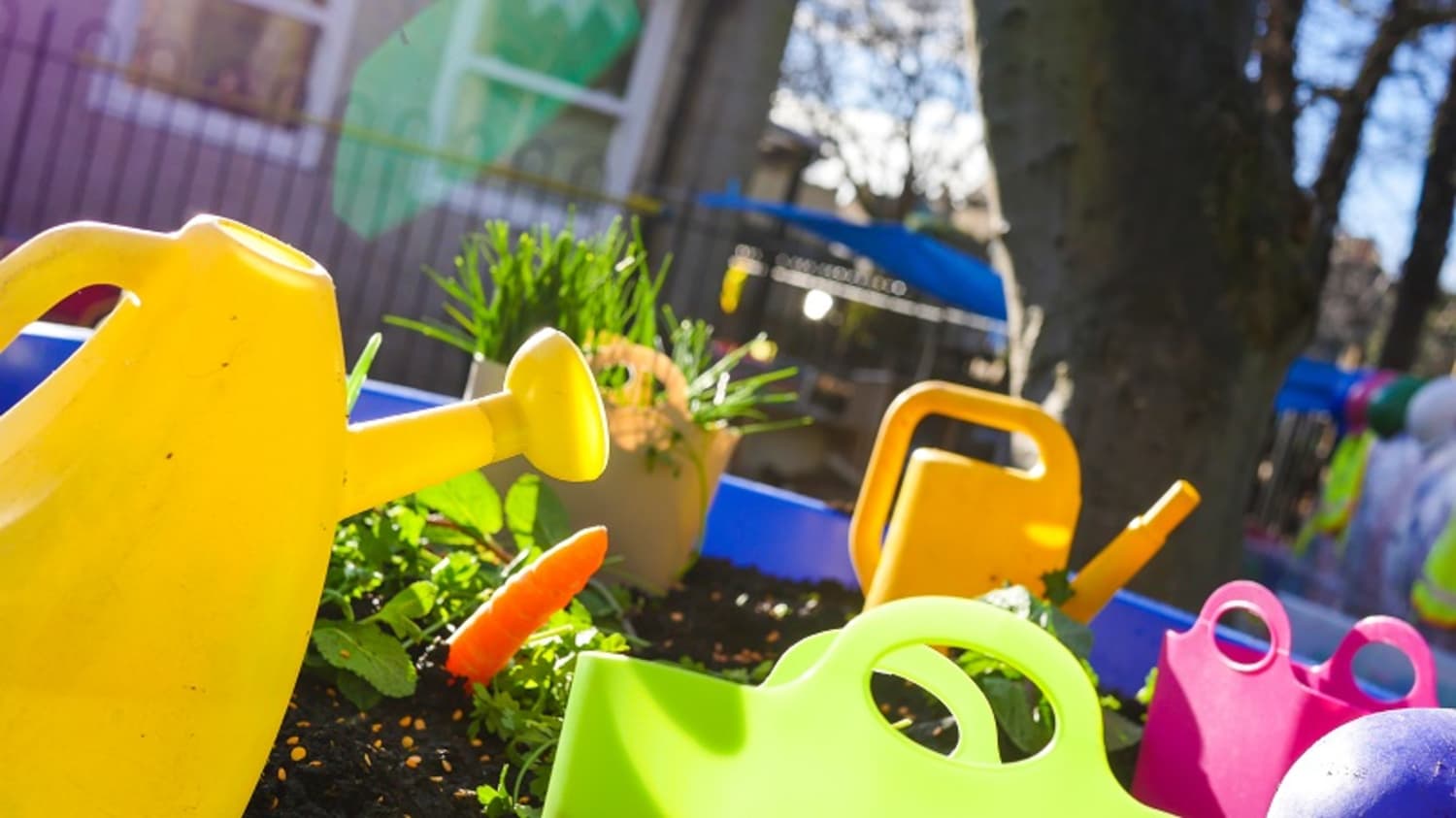 Chestnut Nursery Schools Introductory News Image - qpsobbar1afepzig1kgp