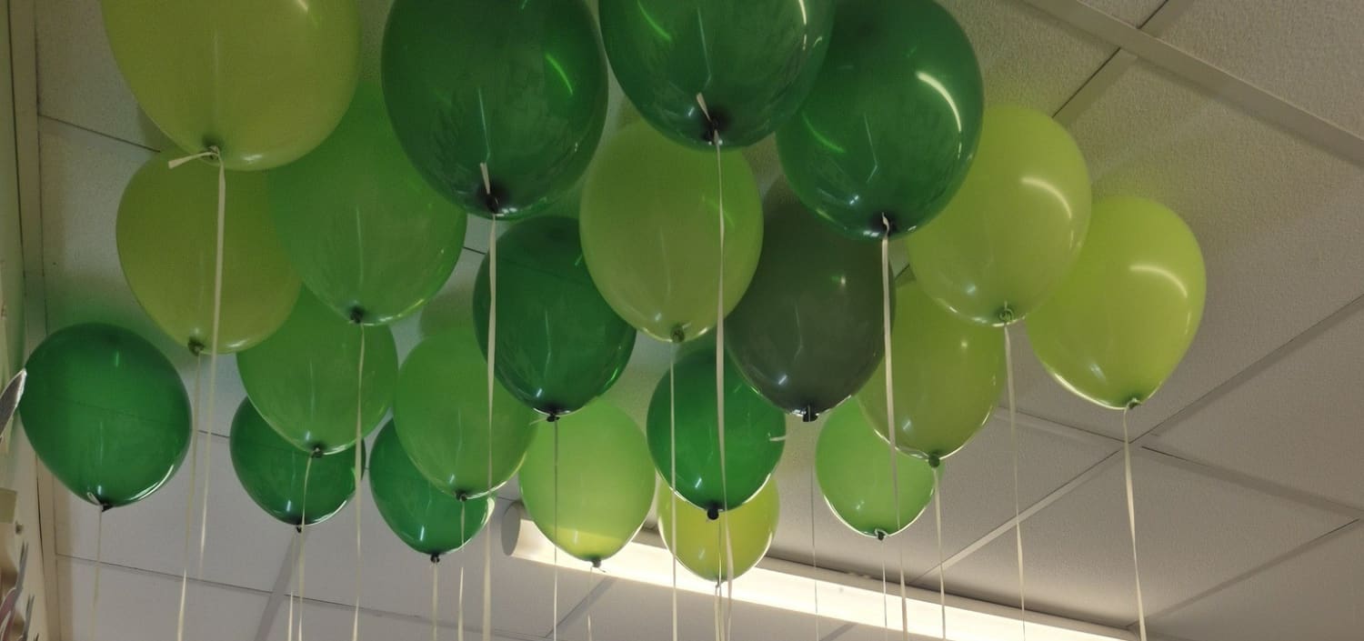 Chestnut Nursery Schools Introductory News Image - tzoze3x4gokmm2ydenz5