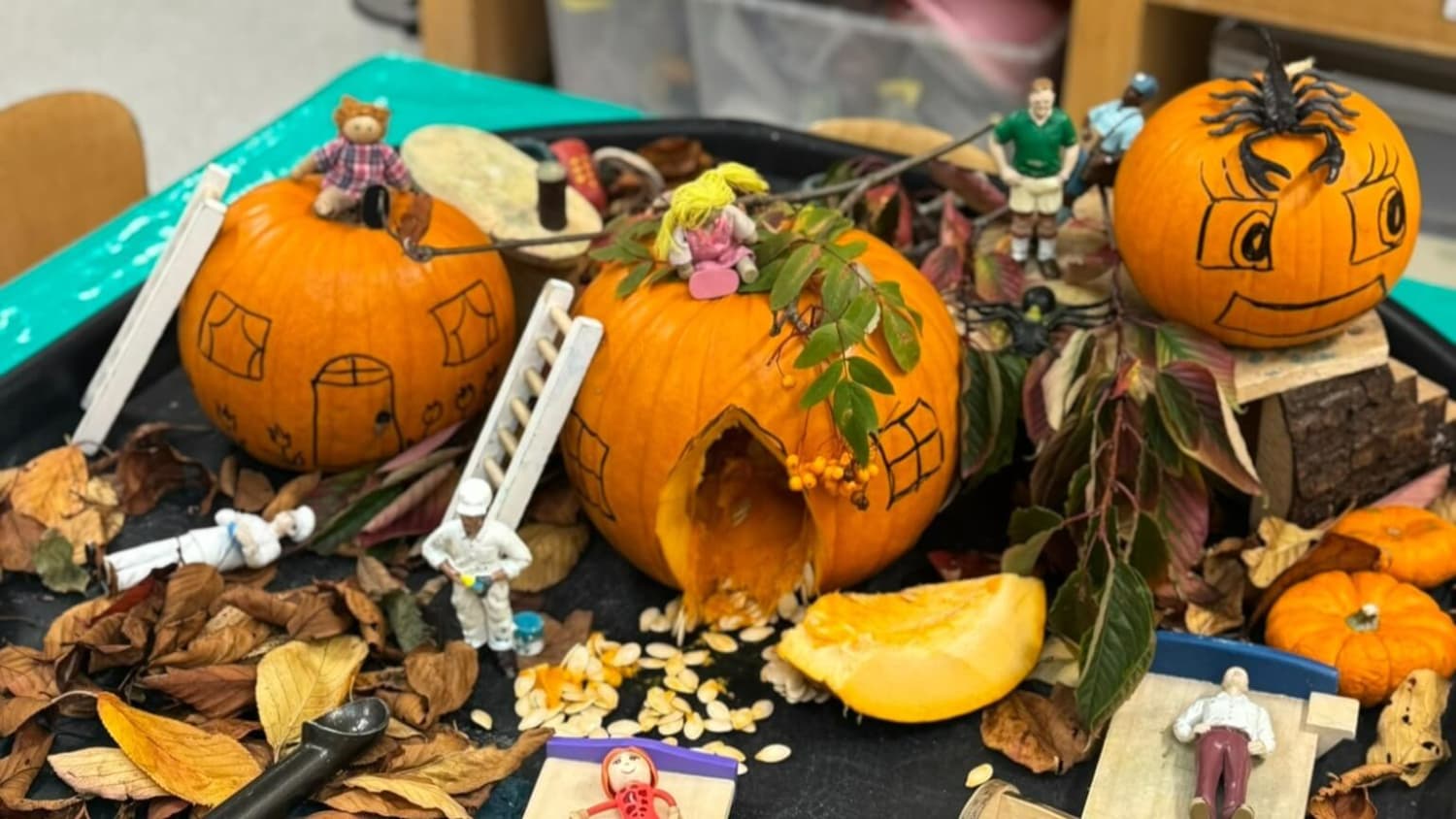 Chestnut Nursery Schools Introductory News Image - zzjkucegpyrebgwxmpj1