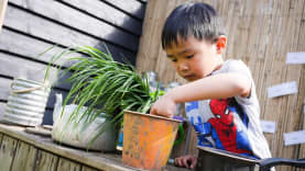 Chestnut Nursery School Markyate - Thumbnail