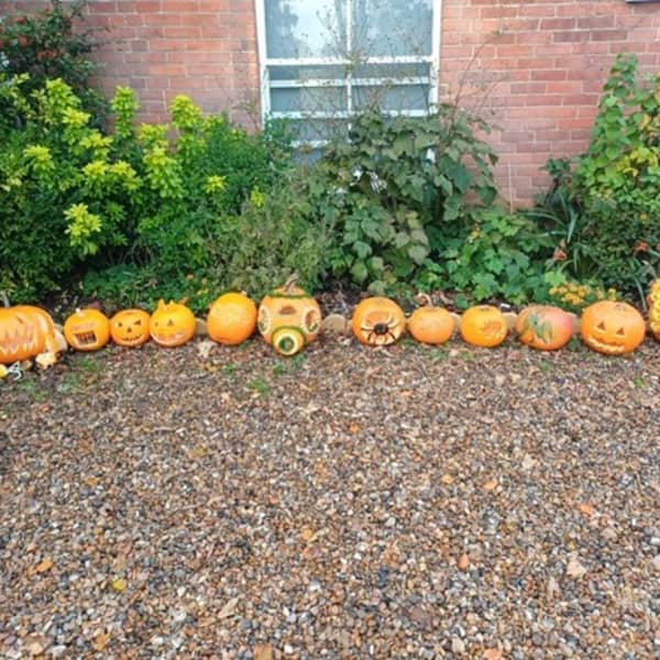 Chestnut Nursery Schools News Image - Celebrating Halloween with Pumpkin Carving