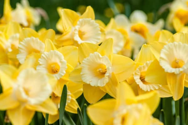 Chestnut Nursery Schools News Image - A Busy Month At The Diamond Centre
