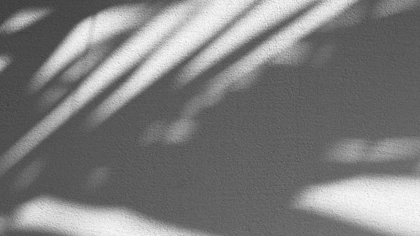 Chestnut Nursery Schools News Image - Playing with Light and Shadow