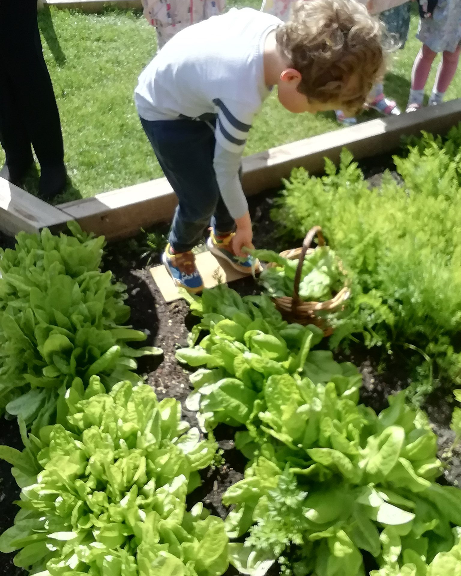 Chestnut Nursery School Image