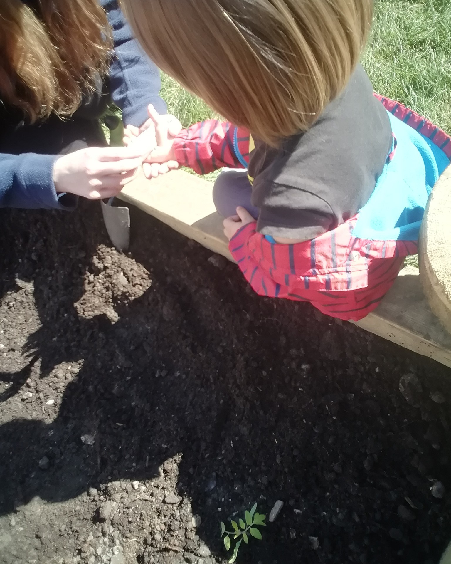 Chestnut Nursery School Image