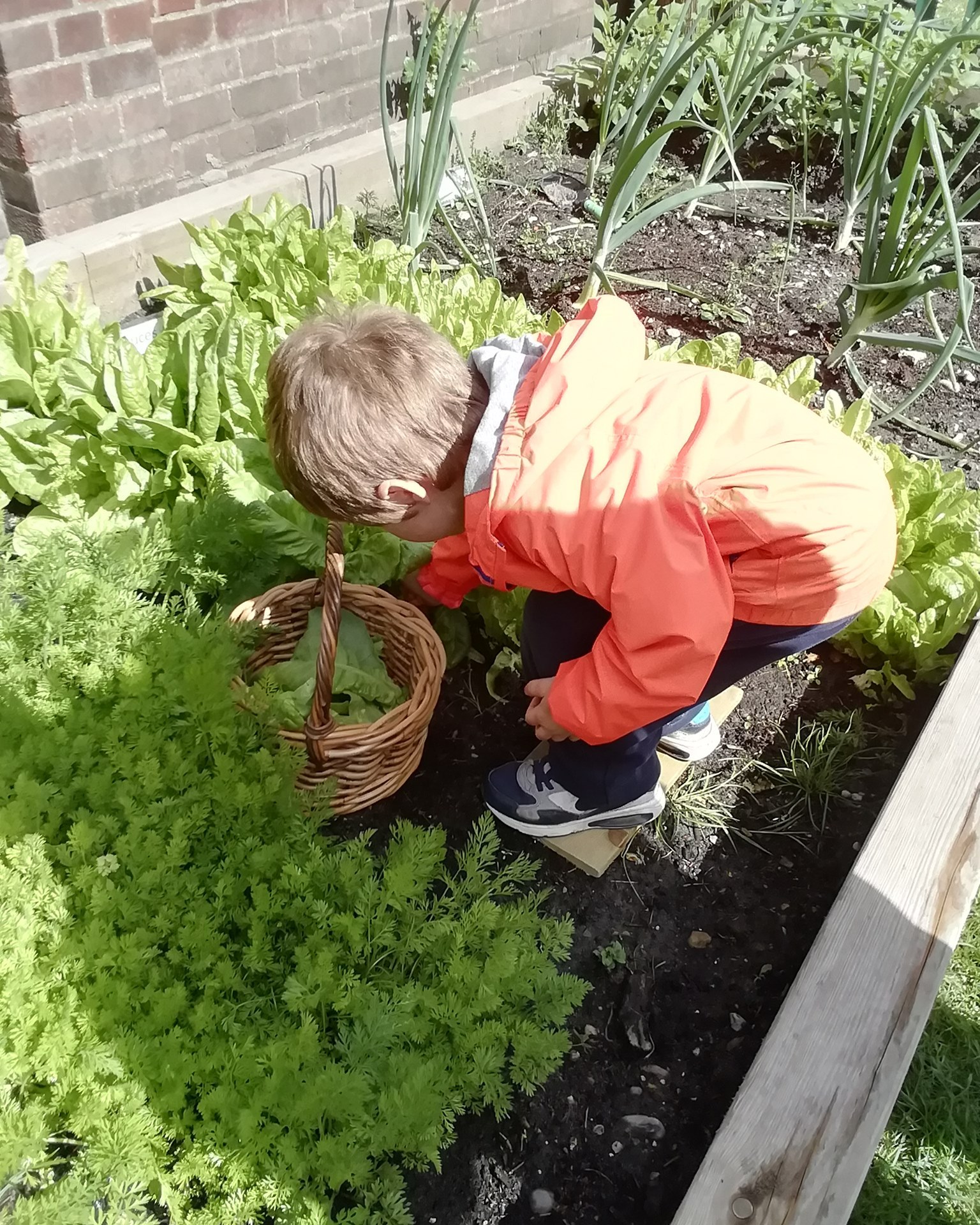 Chestnut Nursery School Image