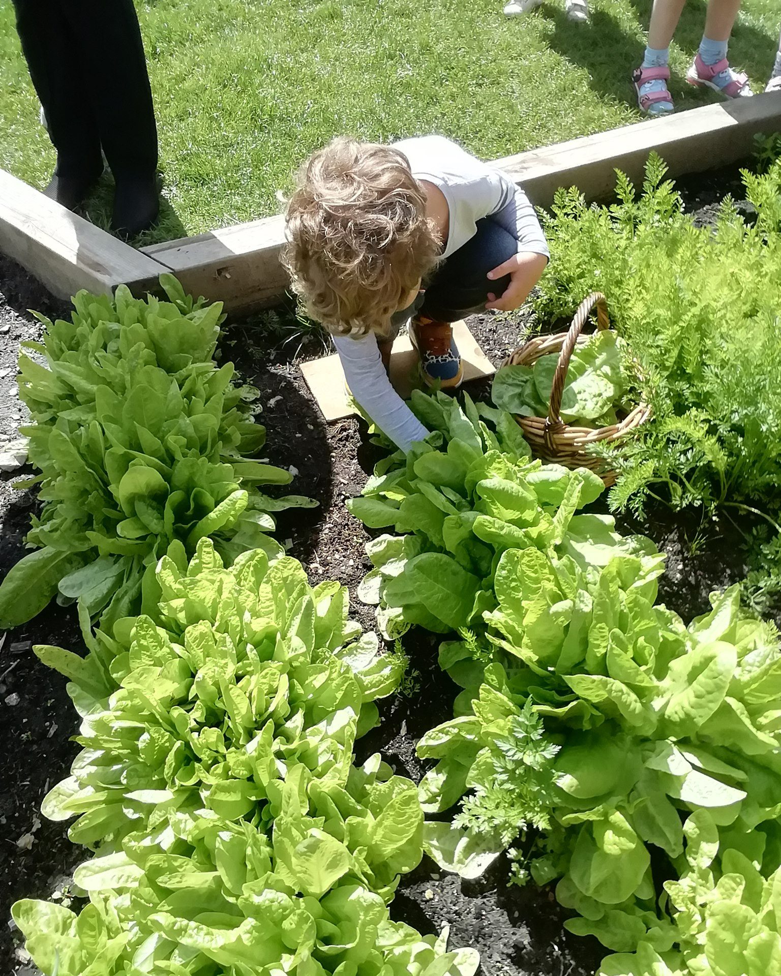 Chestnut Nursery School Image