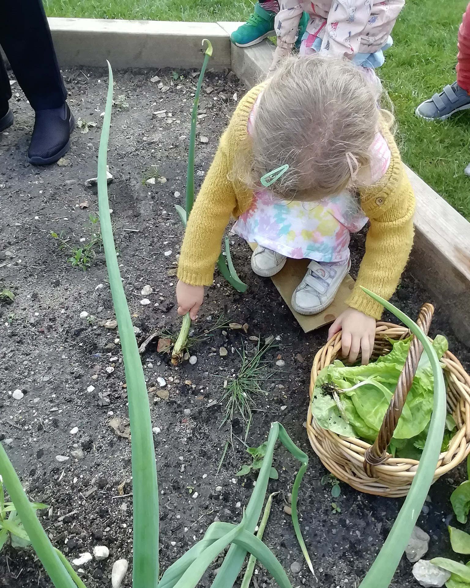 Chestnut Nursery School Image