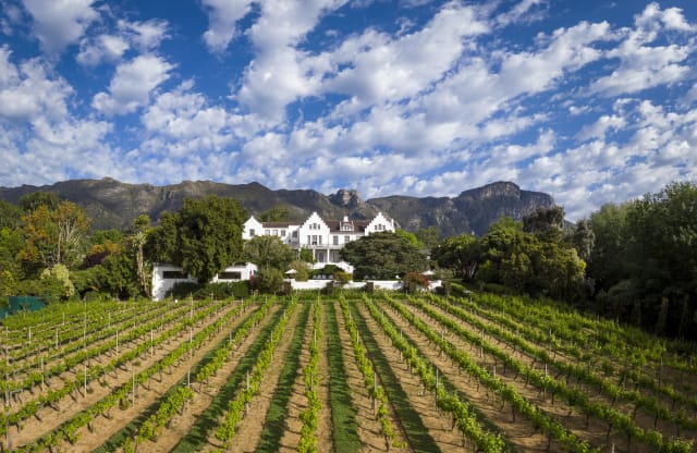 the Cellars-Hohenhort Hotel