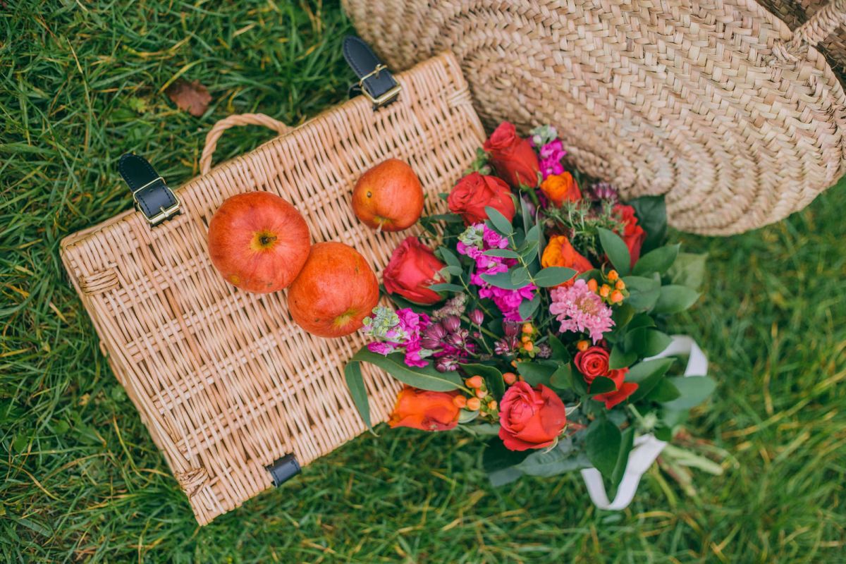 Apple Picking in Kent