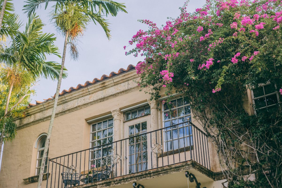 Palm Beach Travel Guide