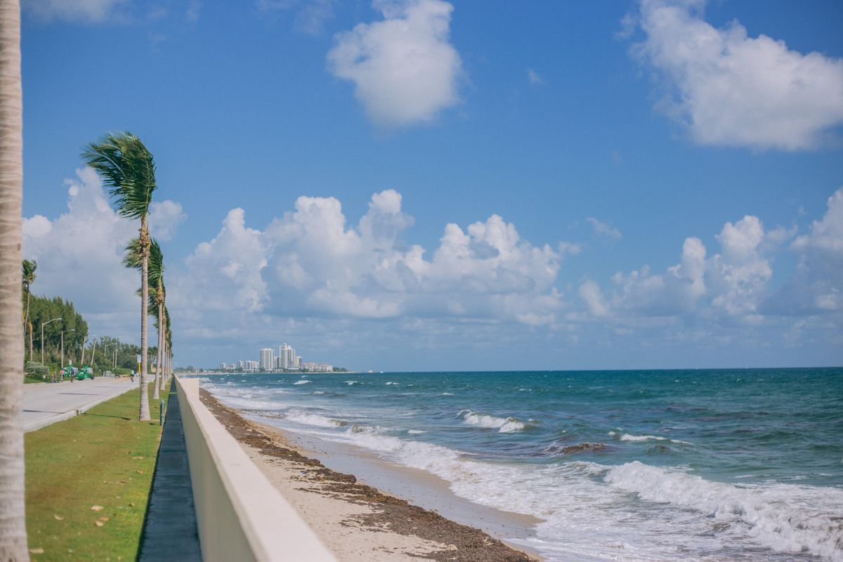 Palm Beach Travel Guide