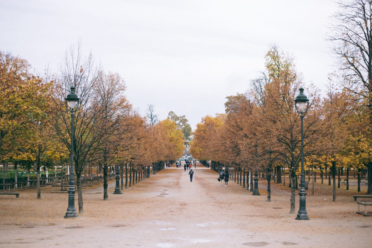 A Luxurious Weekend in Paris