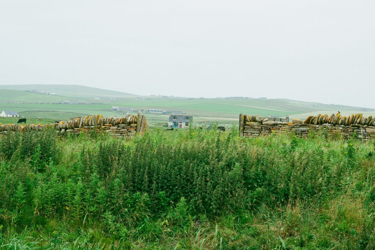 Photos to Inspire You to Visit The Orkney Islands