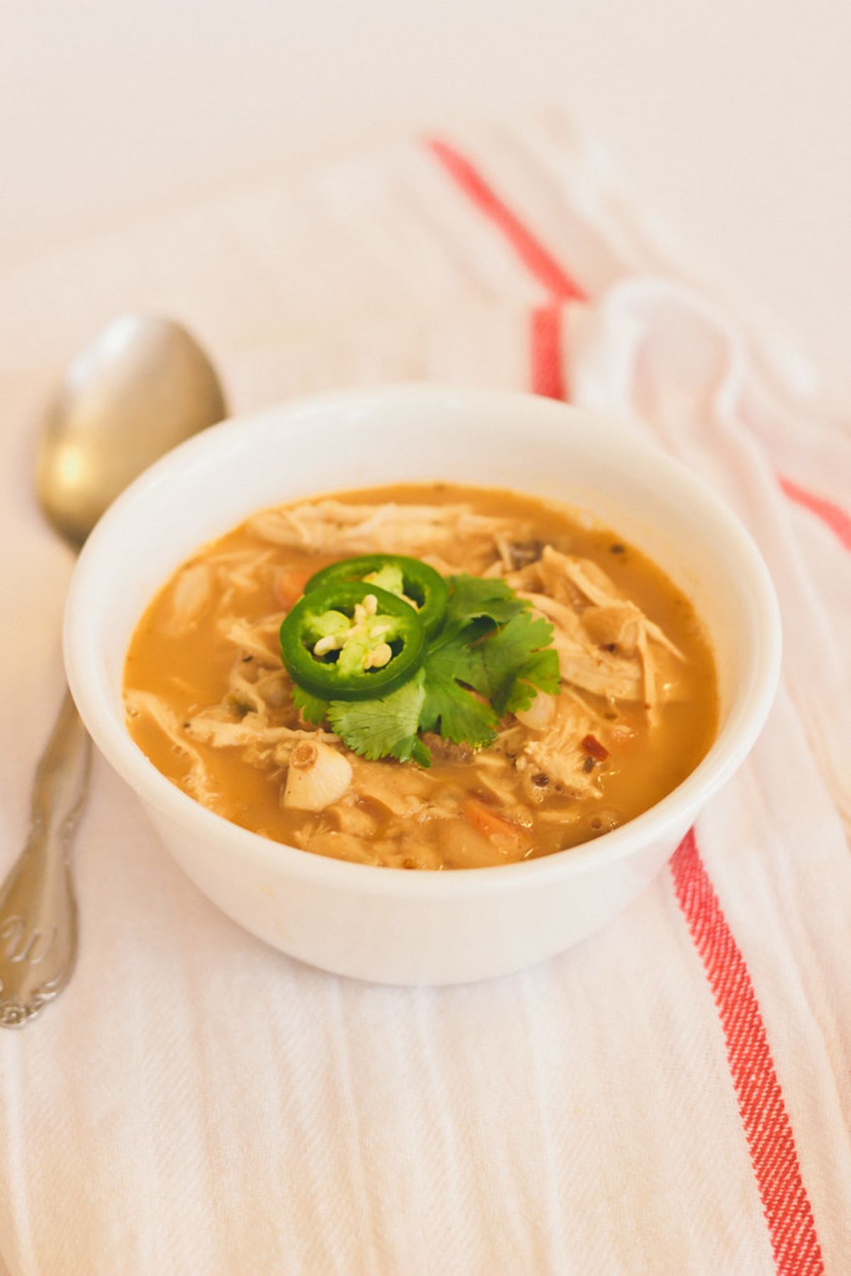 Mexican Chicken and White Bean Soup