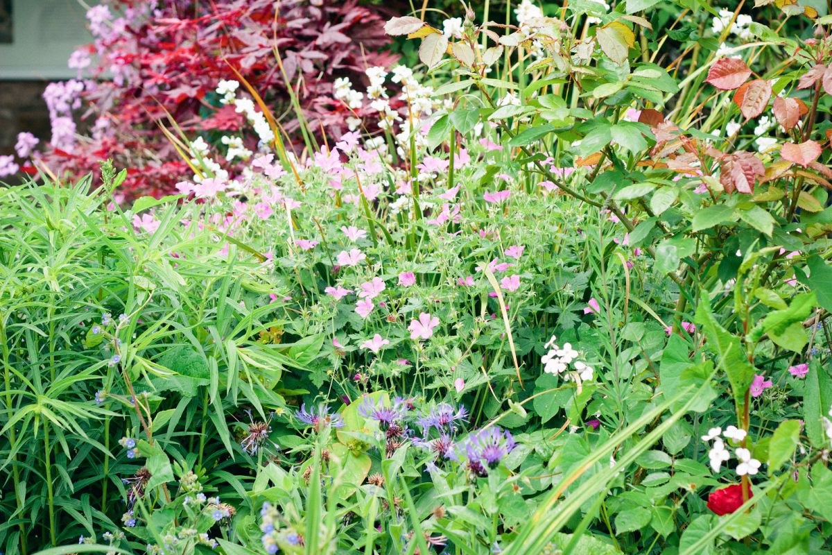 Prints, Flowers, and Change