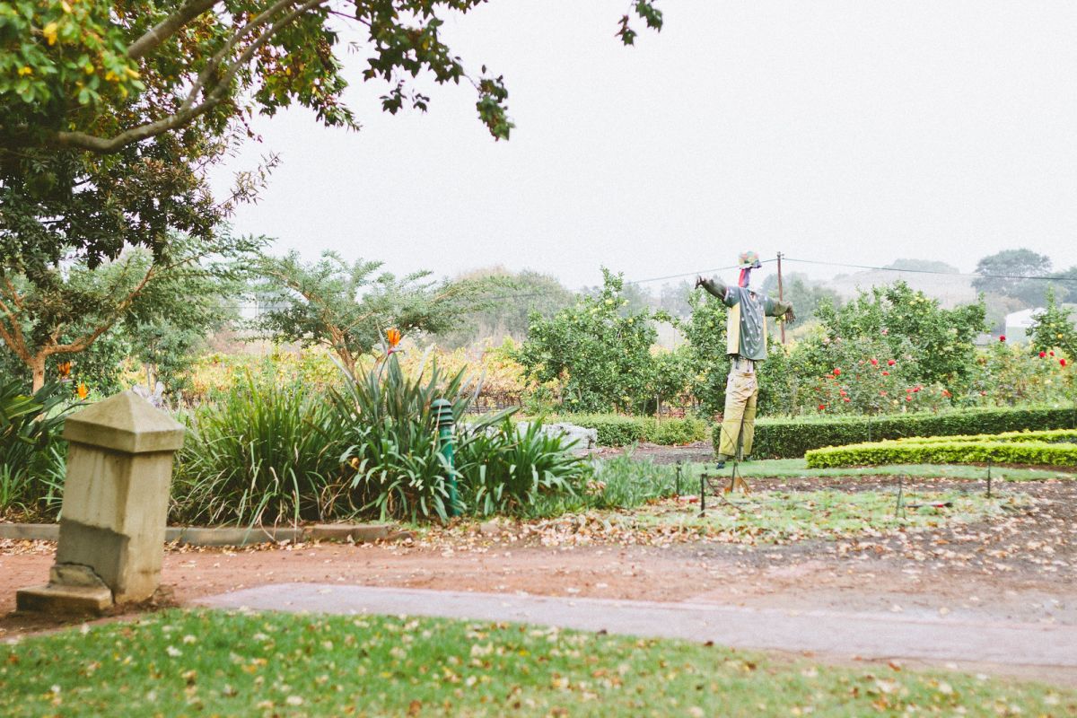 The Best Cape Town Wine Day Trips to Stellenbosch