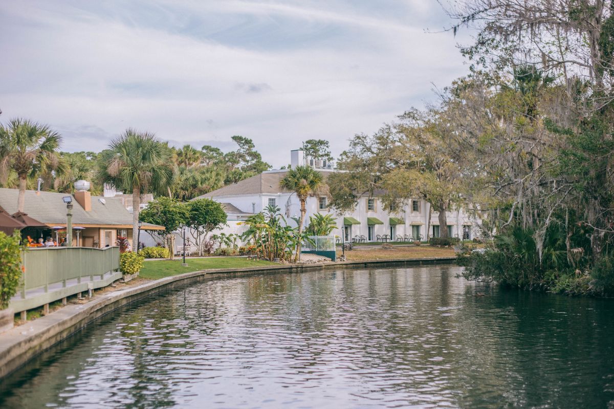 Swimming with Manatees in Crystal River, Florida