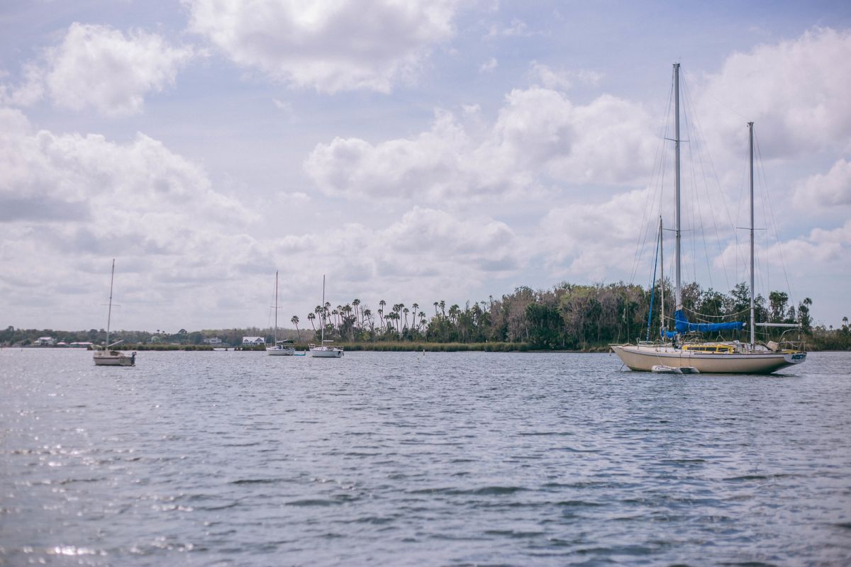 Swimming with Manatees in Crystal River, Florida