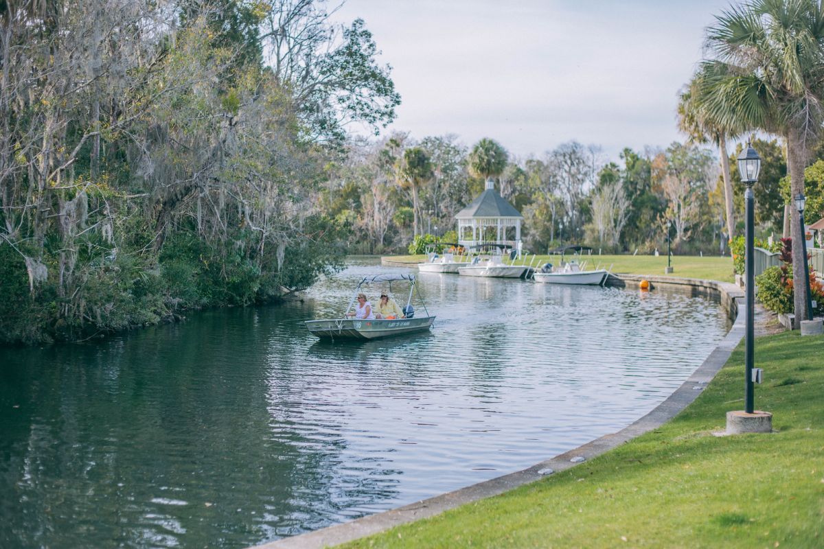 Swimming with Manatees in Crystal River, Florida