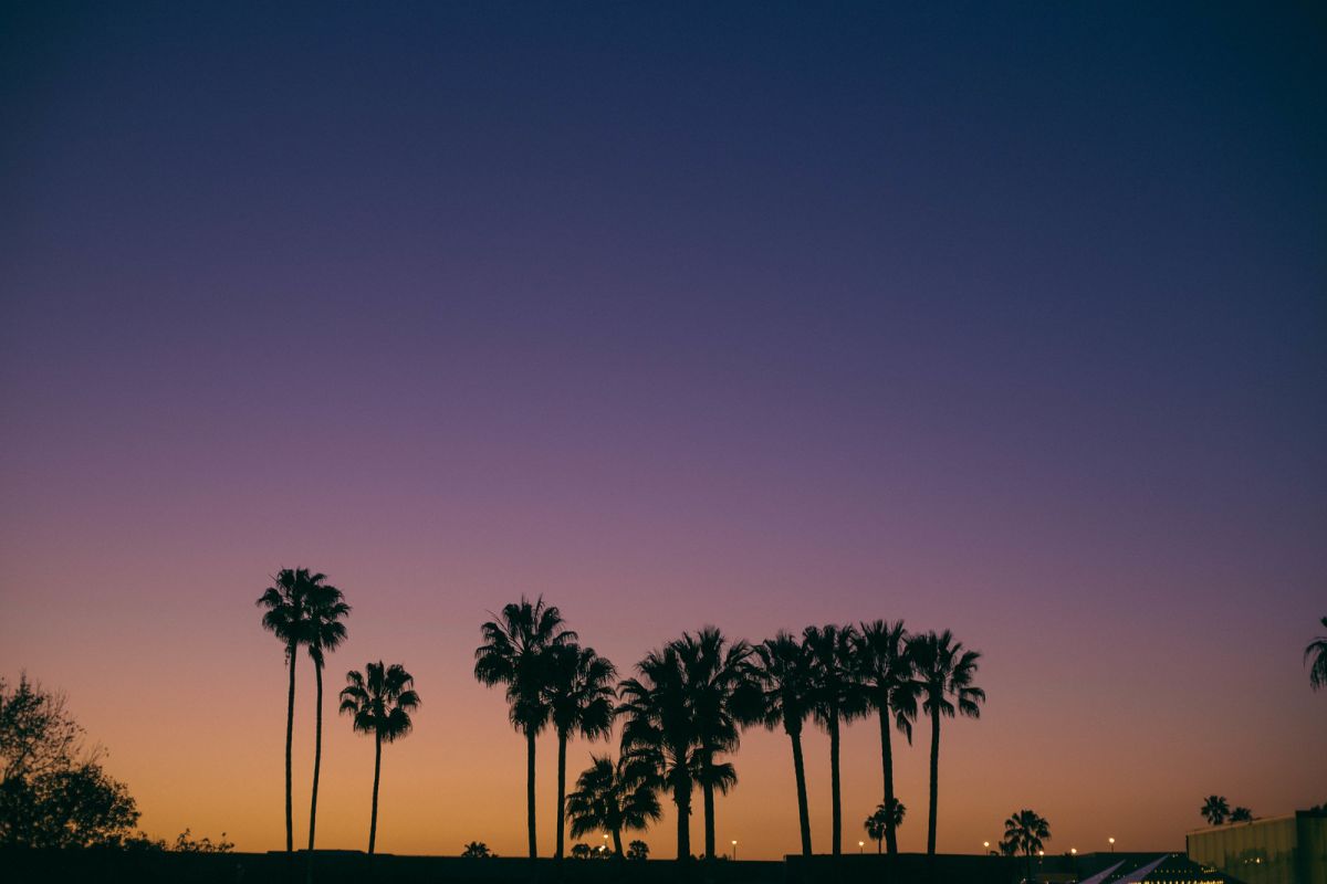 Places to Eat in Costa Mesa, California