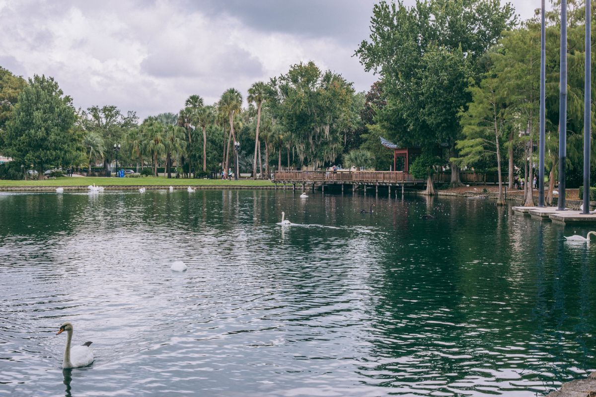 Things to do in Orlando's Lake Eola Heights Historic District