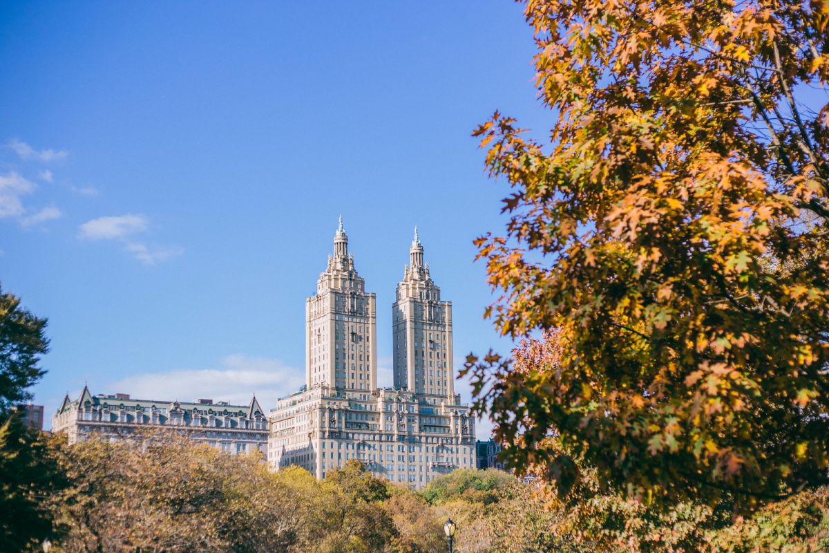 A Reflective Autumnal Walk in Central Park