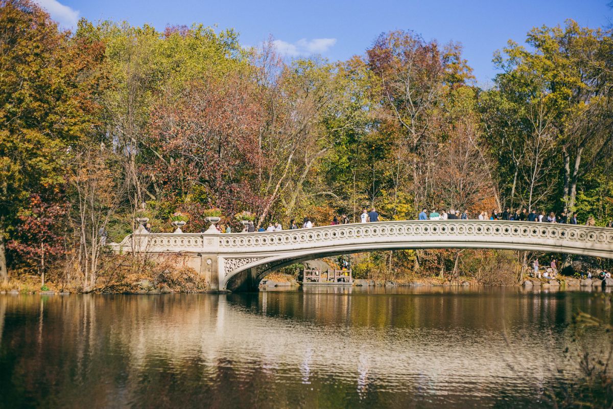 A Reflective Autumnal Walk in Central Park