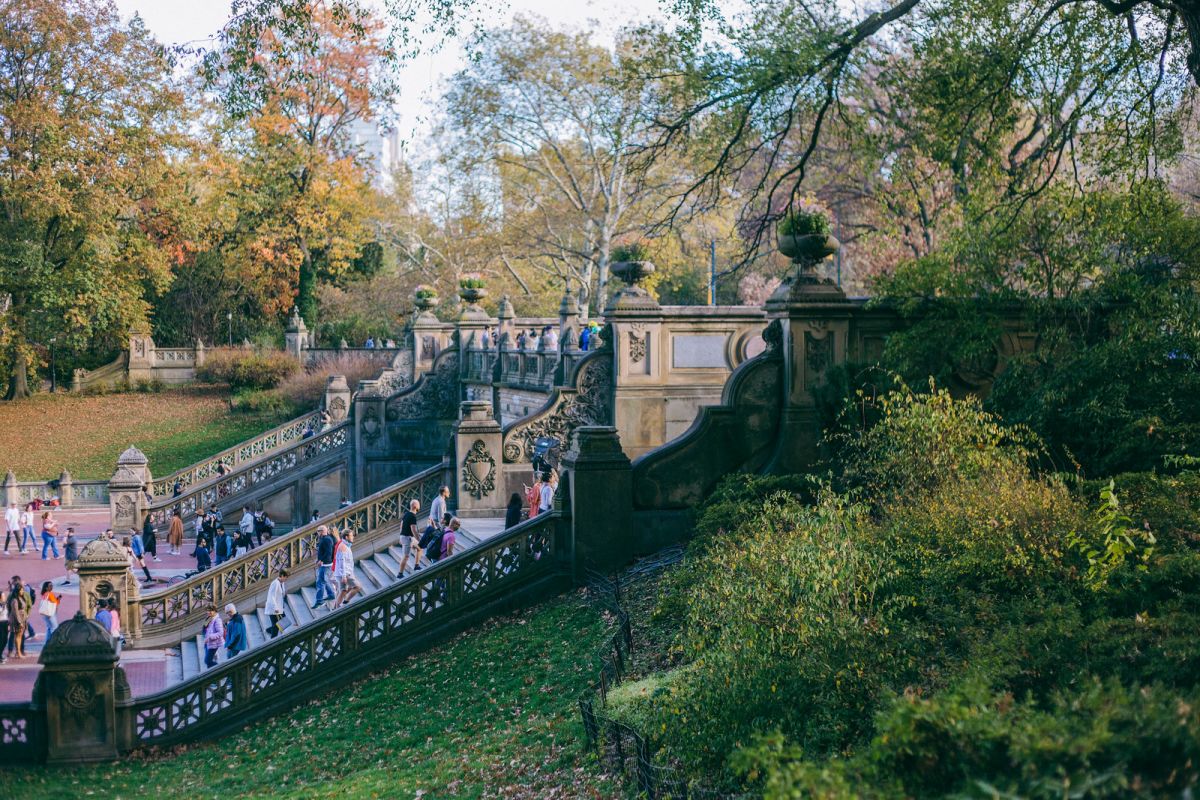 A Reflective Autumnal Walk in Central Park